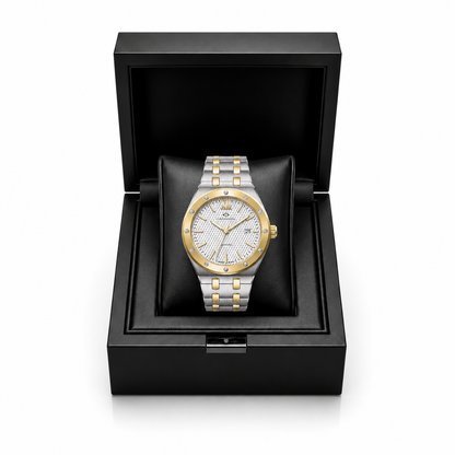 Luxury Two-Tone Stainless Steel Men’s Watch with Silver Dial