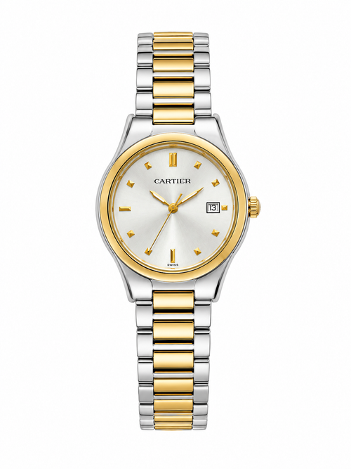 Luxury Two-Tone Stainless Steel Men’s Watch with Silver Dial
