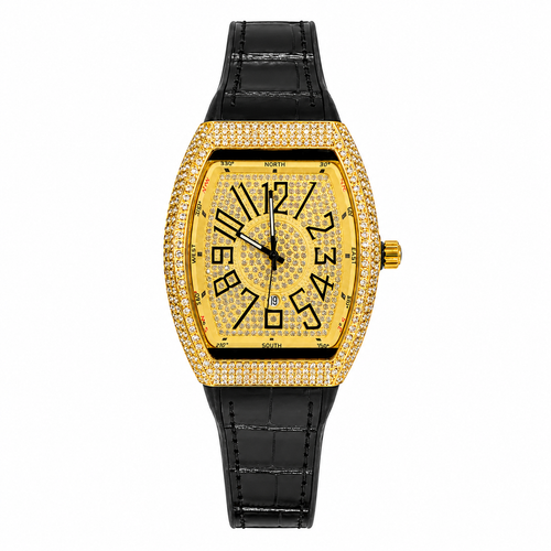 Franck Muller Vanguard Compass Display Gold Dial Premium Date Watch