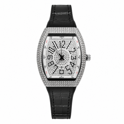 Franck Muller Vanguard Compass Display Silver Dial Premium Date Watch